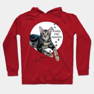 Always Stay Pawsitive Hoodie